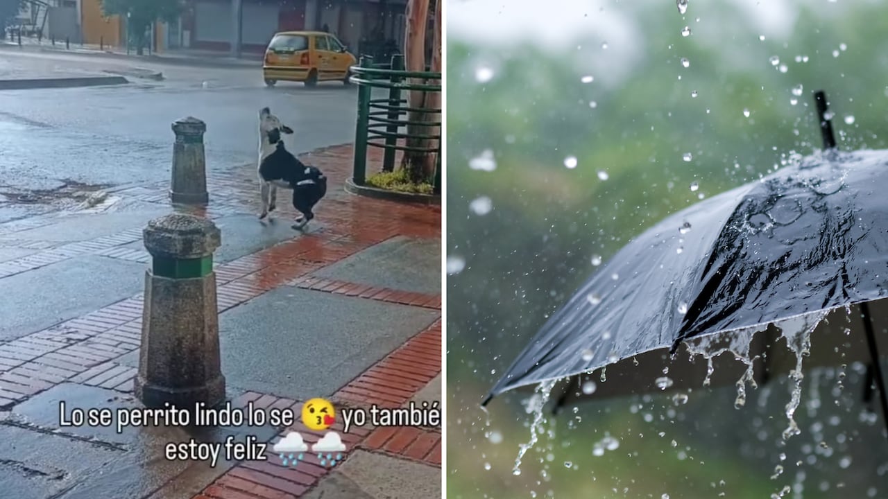 En redes sociales se viralizó el tierno momento.