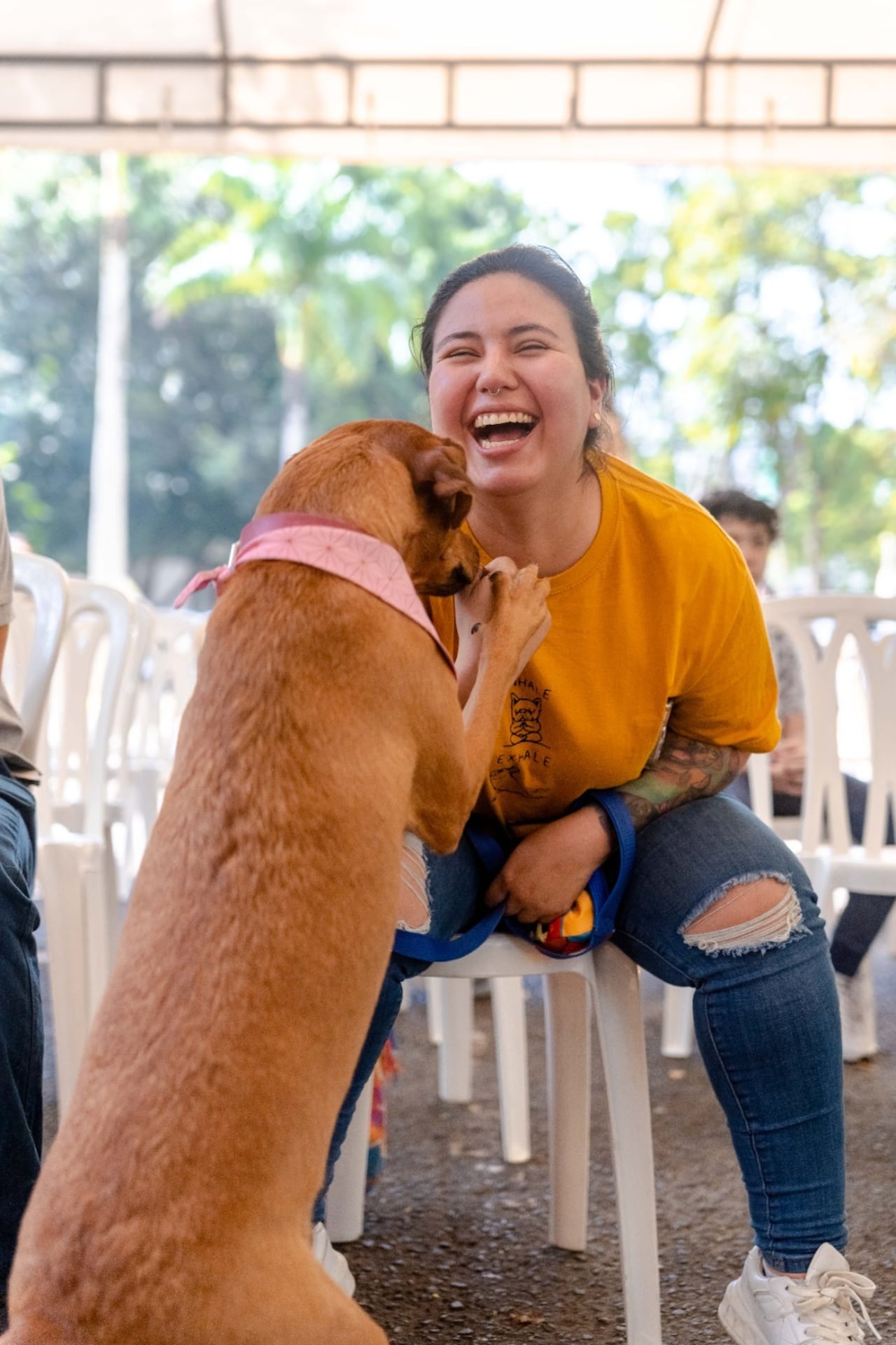 Como parte de la iniciativa solidaria, quienes participen deberán llevar 5 kilogramos de alimento para perro o gato destinados a apoyar a otros animales.