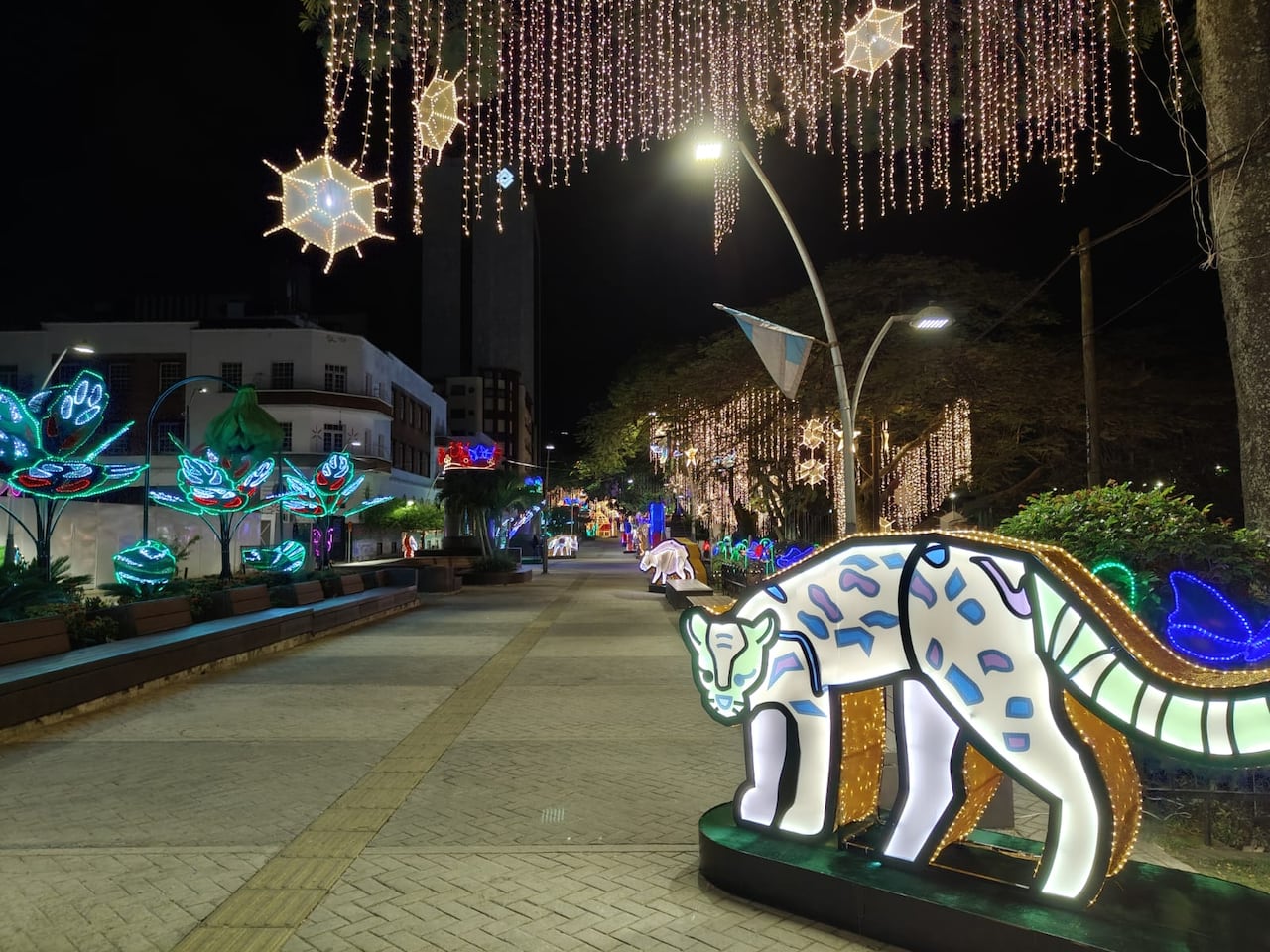 Alumbrado navideño en Cali 2025