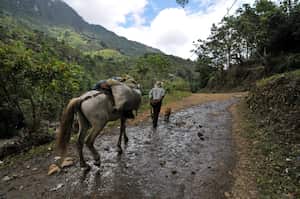 Vías terciarias del departamento del Valle del Cauca. En la fotos vías de Peñas Blancas y Barragán.