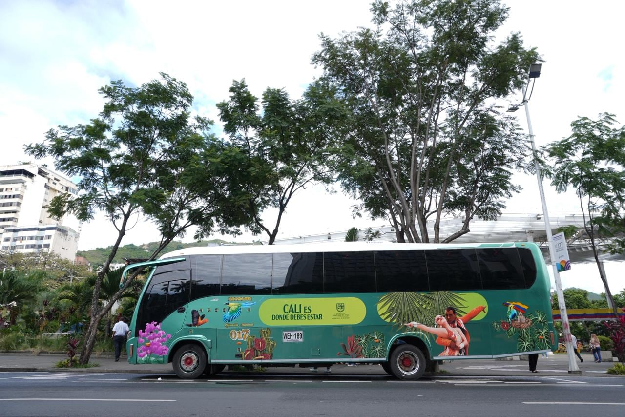Bus turístico