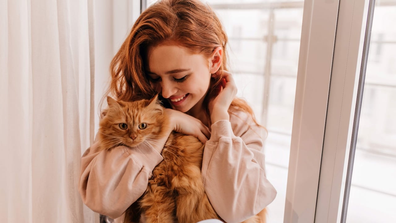Los gatos son carnívoros estrictos y necesitan nutrientes específicos como la taurina.