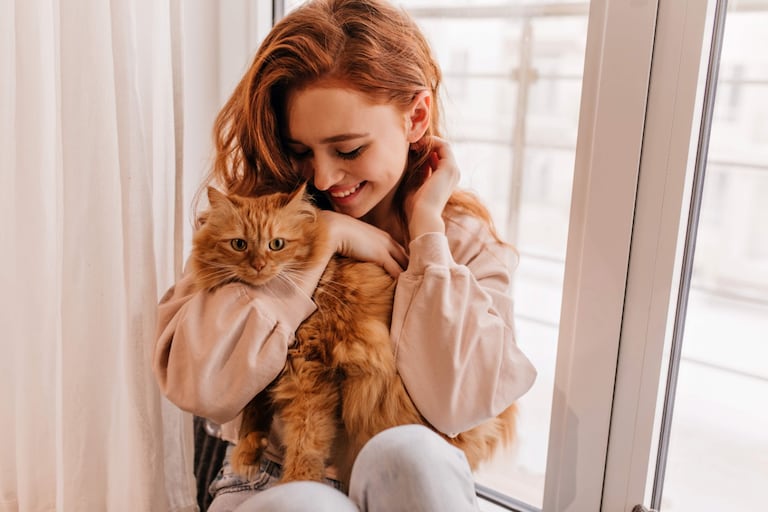 Los gatos son carnívoros estrictos y necesitan nutrientes específicos como la taurina.