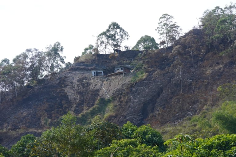 Construcciones ilegales en La Buitrera