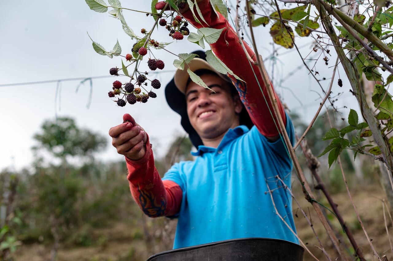 La inversión de la compañía en programas de sostenibilidad creció 18 por ciento con respecto a 2021.