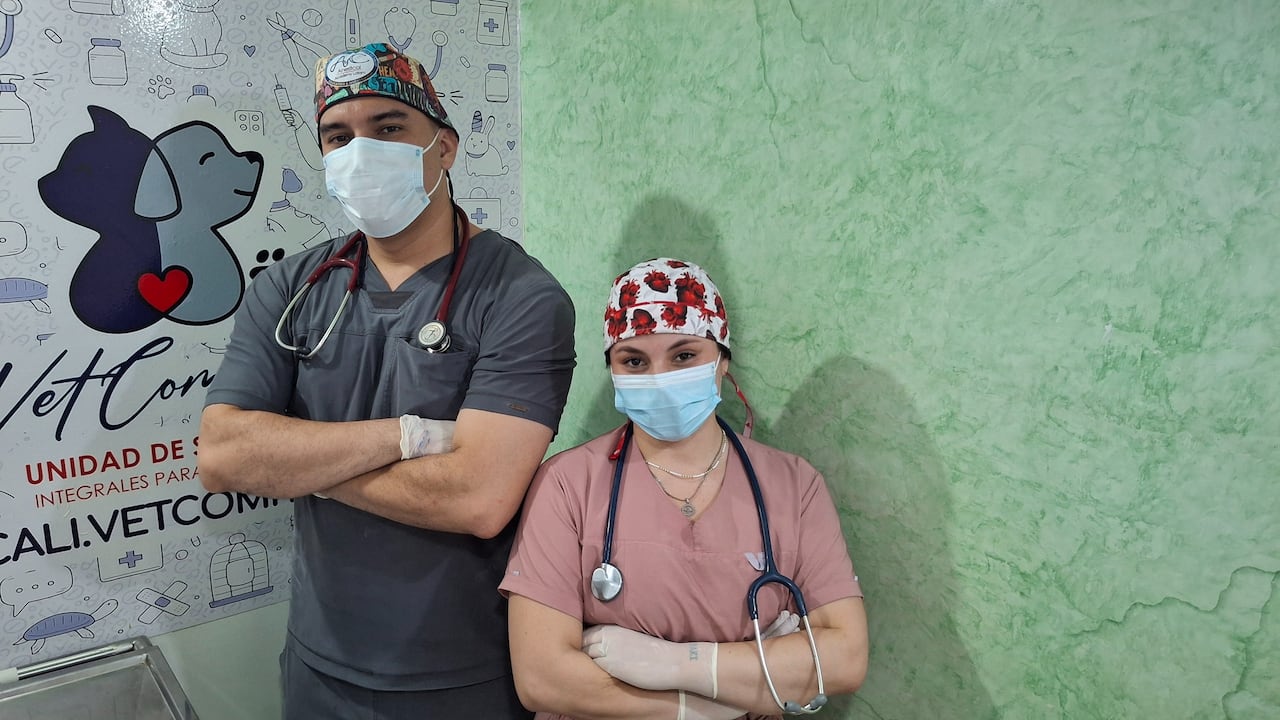 El equipo de especialistas veterinarios realiza exámenes de diagnóstico y control hemodinámico a un guatín rescatado con severas quemaduras tras el incendio en el Cerro de la Bandera.