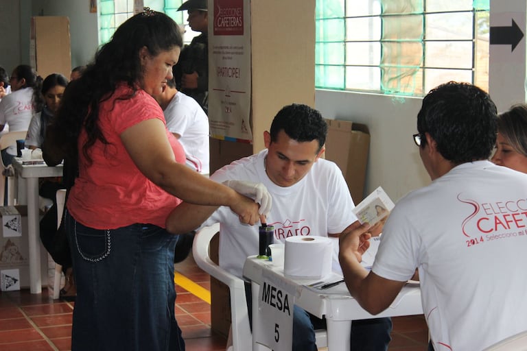 Las elecciones cafeteras se realizarán en el mes de septiembre. Foto suministrada por la FNC.