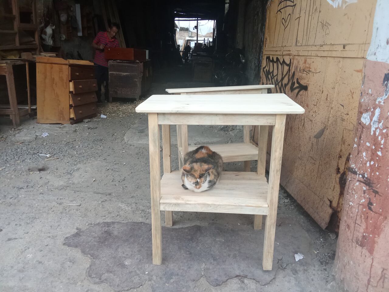 "Los gatos son como los vendedores, la gente llega a acariciarlos y terminando llevándose la mesa", dice jocosamente Rubiel Agudelo.