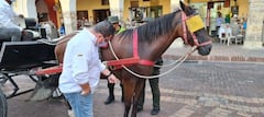 Cartagena le dice adiós a los carruajes tirados por caballos, serán remplazados por carruajes eléctricos importados de China.