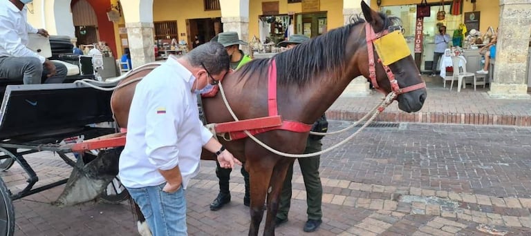 Cartagena le dice adiós a los carruajes tirados por caballos, serán remplazados por carruajes eléctricos importados de China.