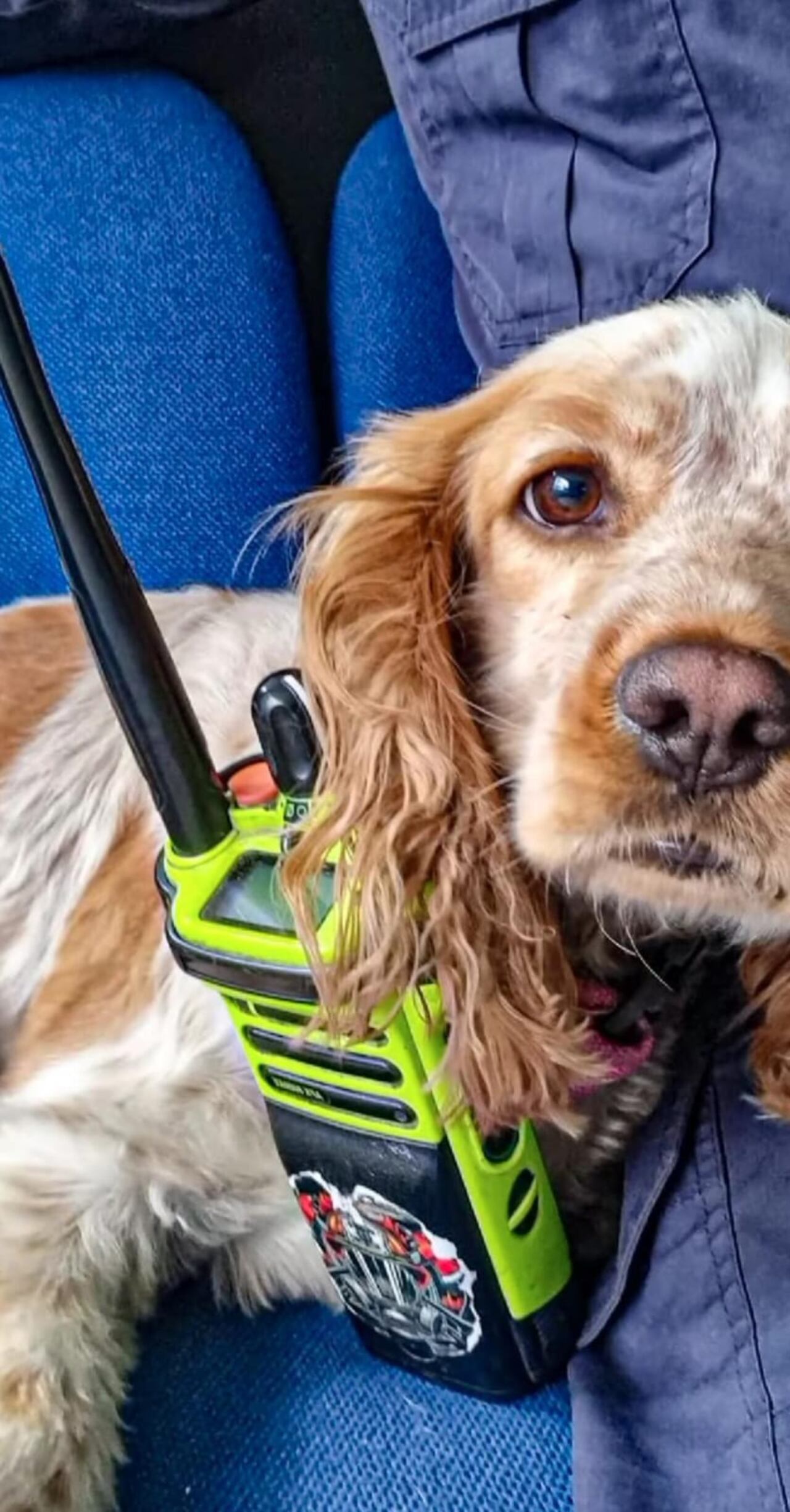 Mara es considerada como un bombero más.