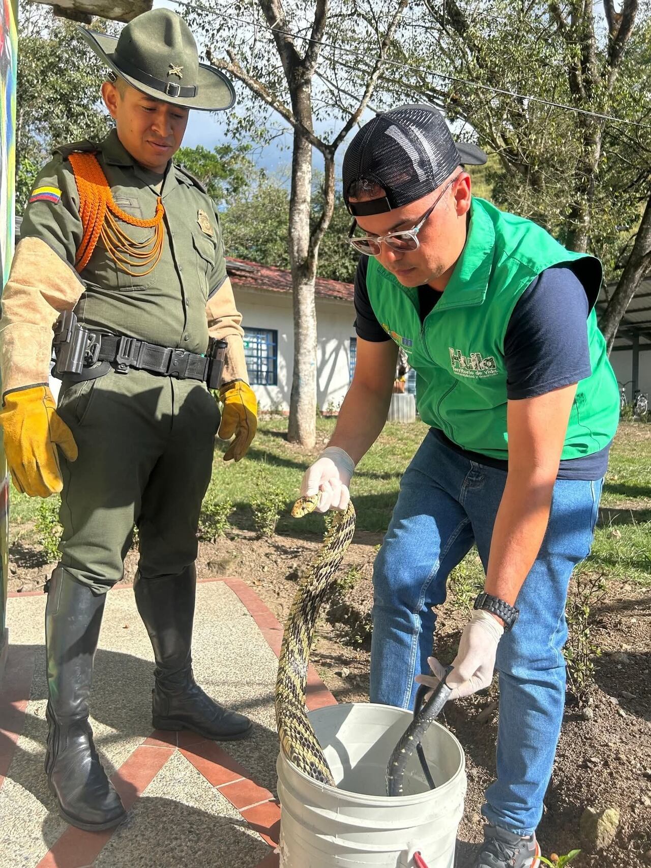 Los funcionarios de la Corporación Autónoma Regional del Alto Magdalena, CAM, apoyaron el rescate de la serpiente.