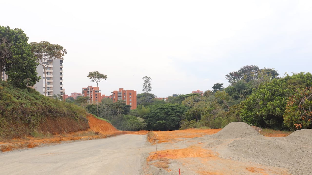 El Zanjón del Burro hace parte de la Reserva Ecológica Distrital Cuenca Media del Río Lili, un corredor ambiental protegido mediante el Acuerdo Municipal 0527 de 2021.