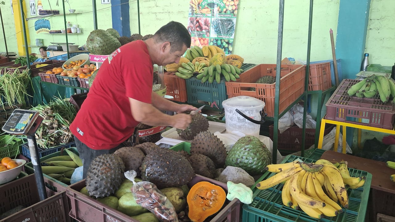 Mercado campesino por la paz: mujeres en Tuluá se unen para ofrecer sus cosechas