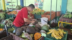 Mercado campesino por la paz: mujeres en Tuluá se unen para ofrecer sus cosechas