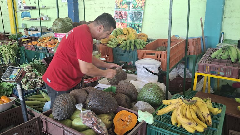 Mercado campesino por la paz: mujeres en Tuluá se unen para ofrecer sus cosechas