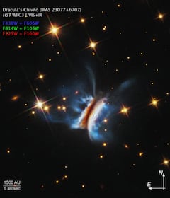 Así ha sido denominado este disco protoplanetario captado por el Hubble.