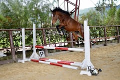 Niña muere al caer de un caballo en Palmira.