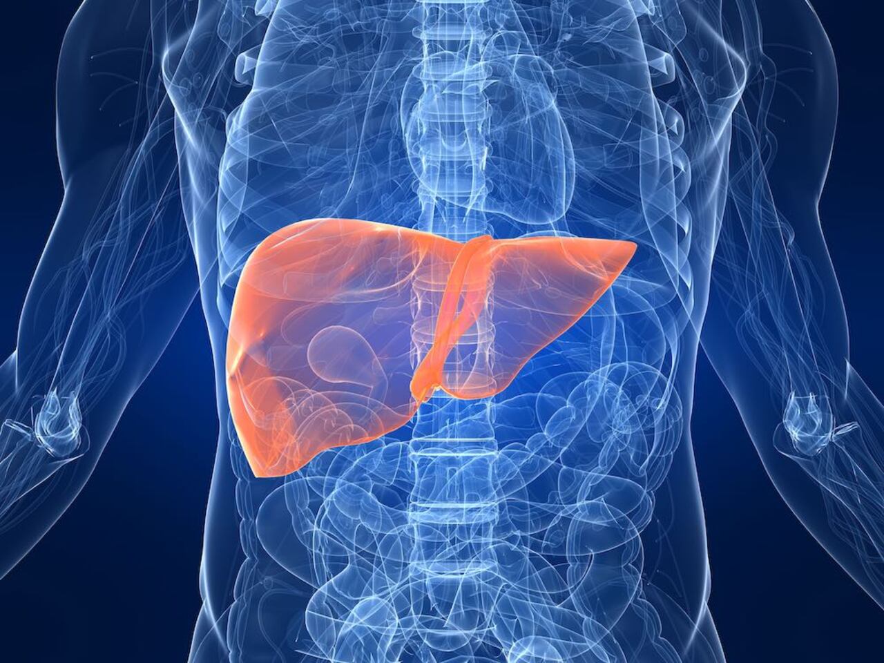 extracto de higado vitaminado para perros 11 AYGBODWKVRCIRCMURXT6TT6F5M