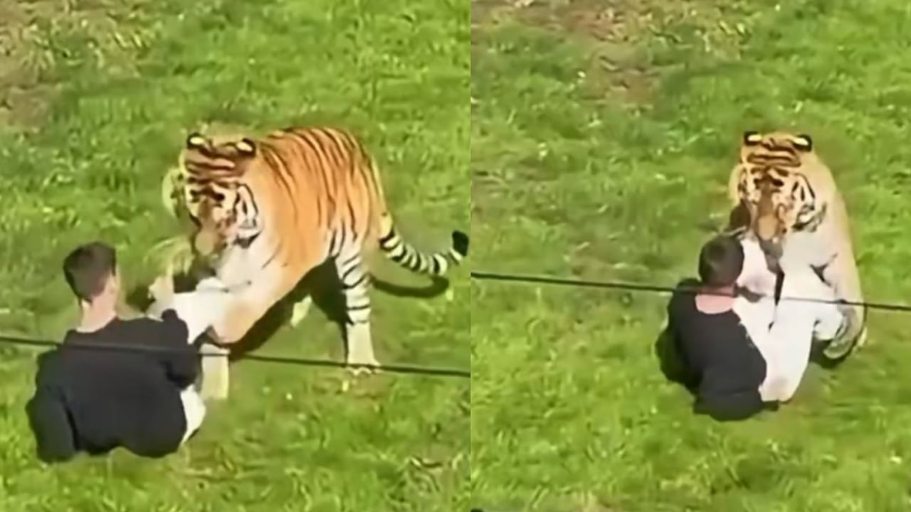 Hombre muere tras entrar a un recinto de Tigres