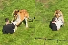 Hombre muere tras entrar a un recinto de Tigres