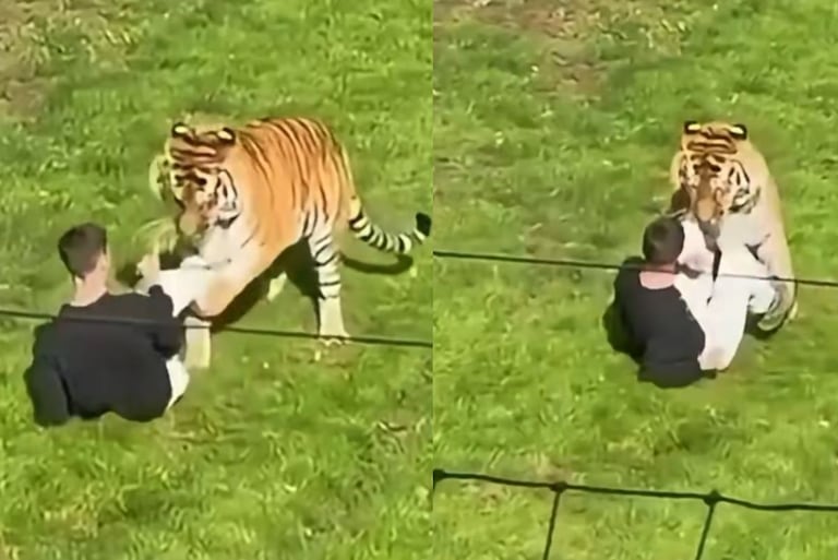 Hombre muere tras entrar a un recinto de Tigres