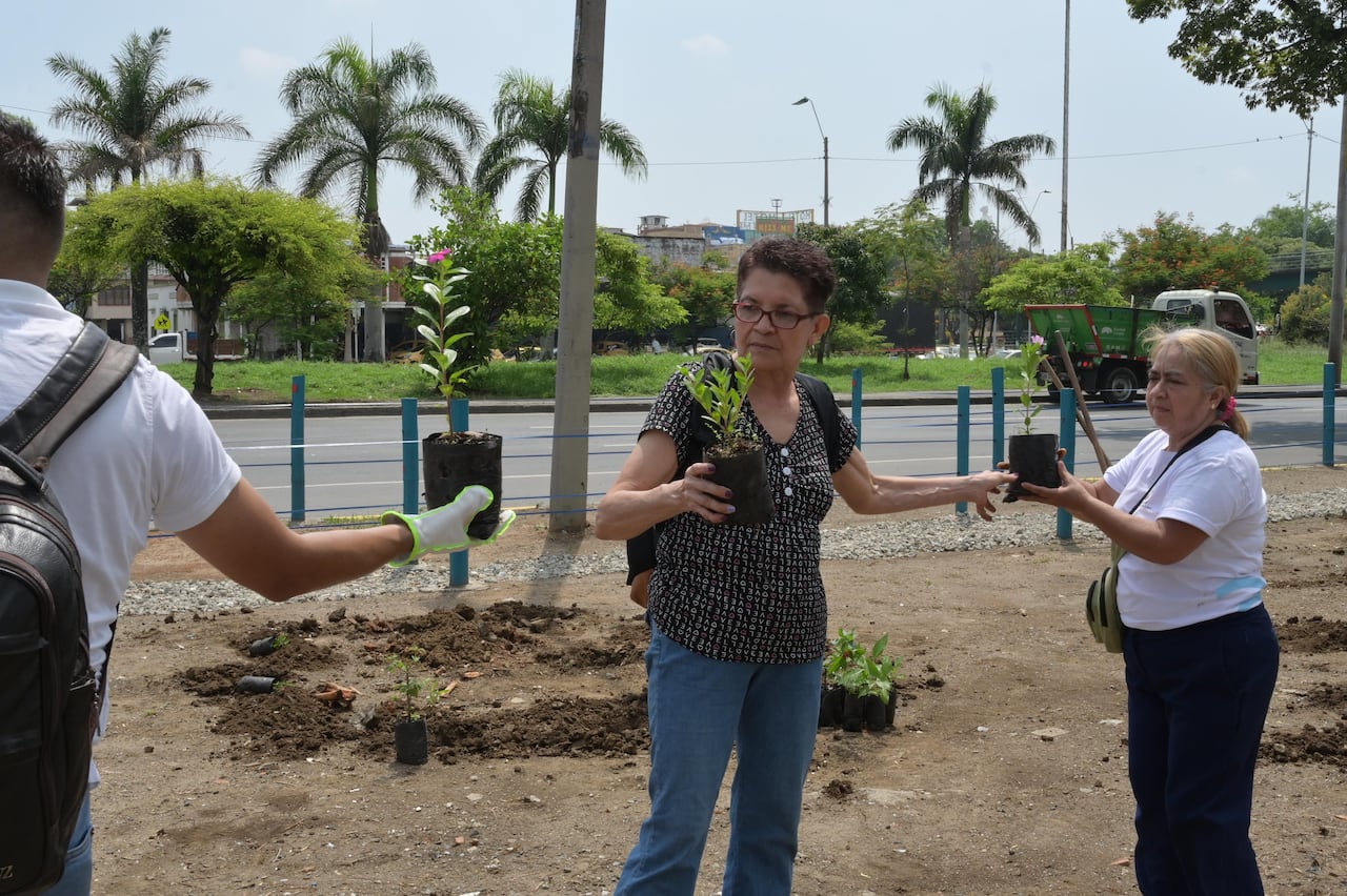 Sembratón Obrero