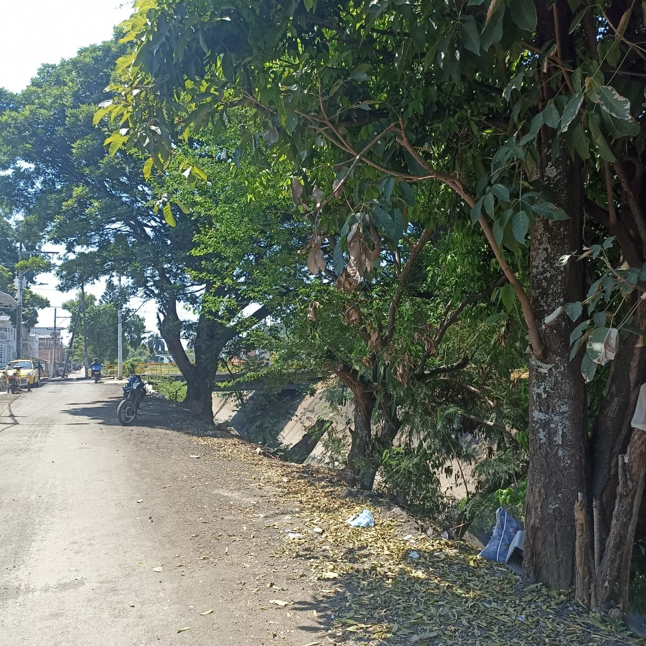 Los habitantes afirman que la cantidad de mosquitos se mantiene tanto de día como de noche.