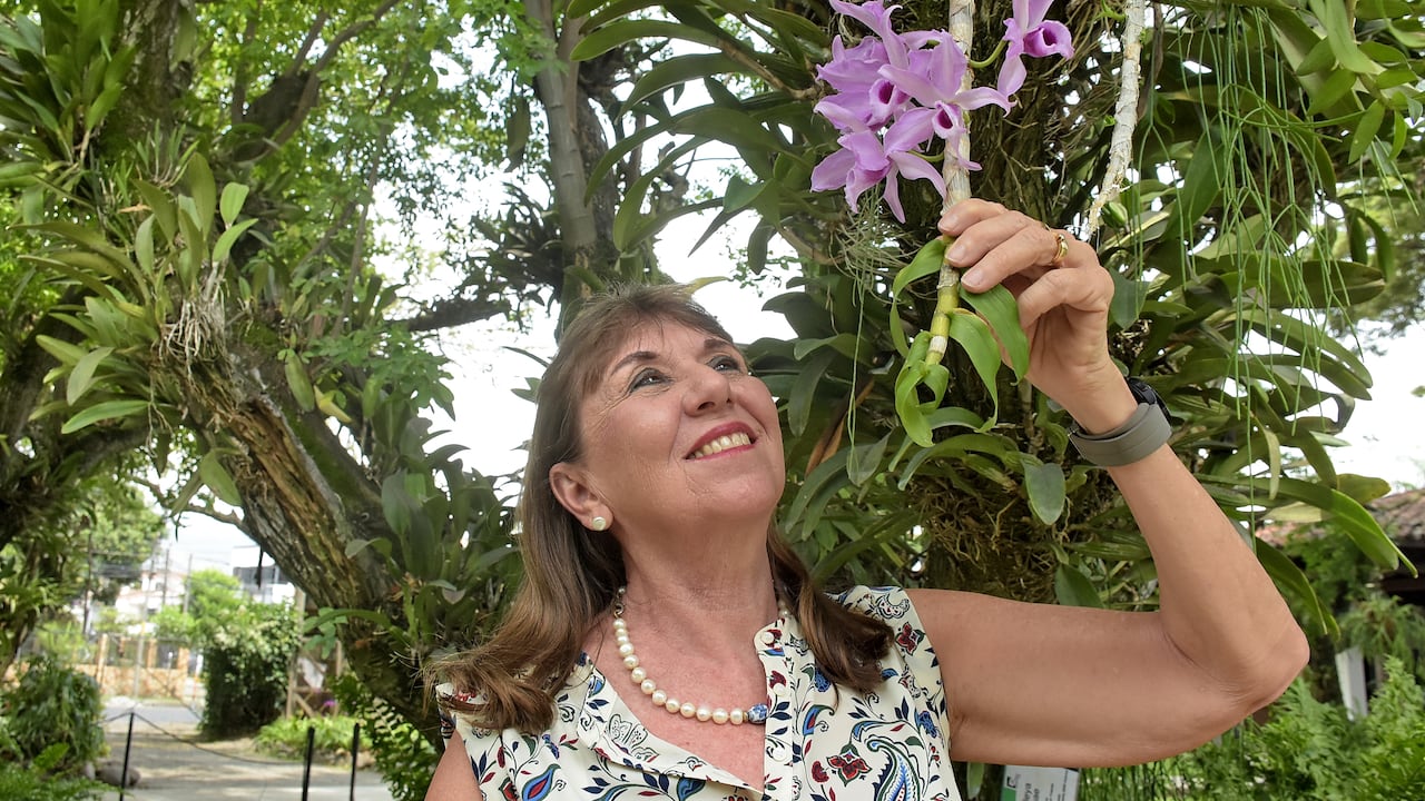 Entrevista a Coleccionistas de Orquídeas.