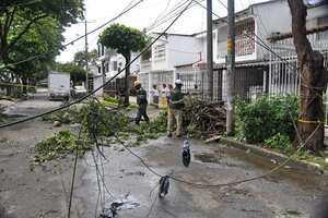 Cali: Fuerte lluvia genera emergencia en el norte de la ciudad por la caída de más de 24 árboles en diferentes barrios. Foto José L Guzmán. El País
