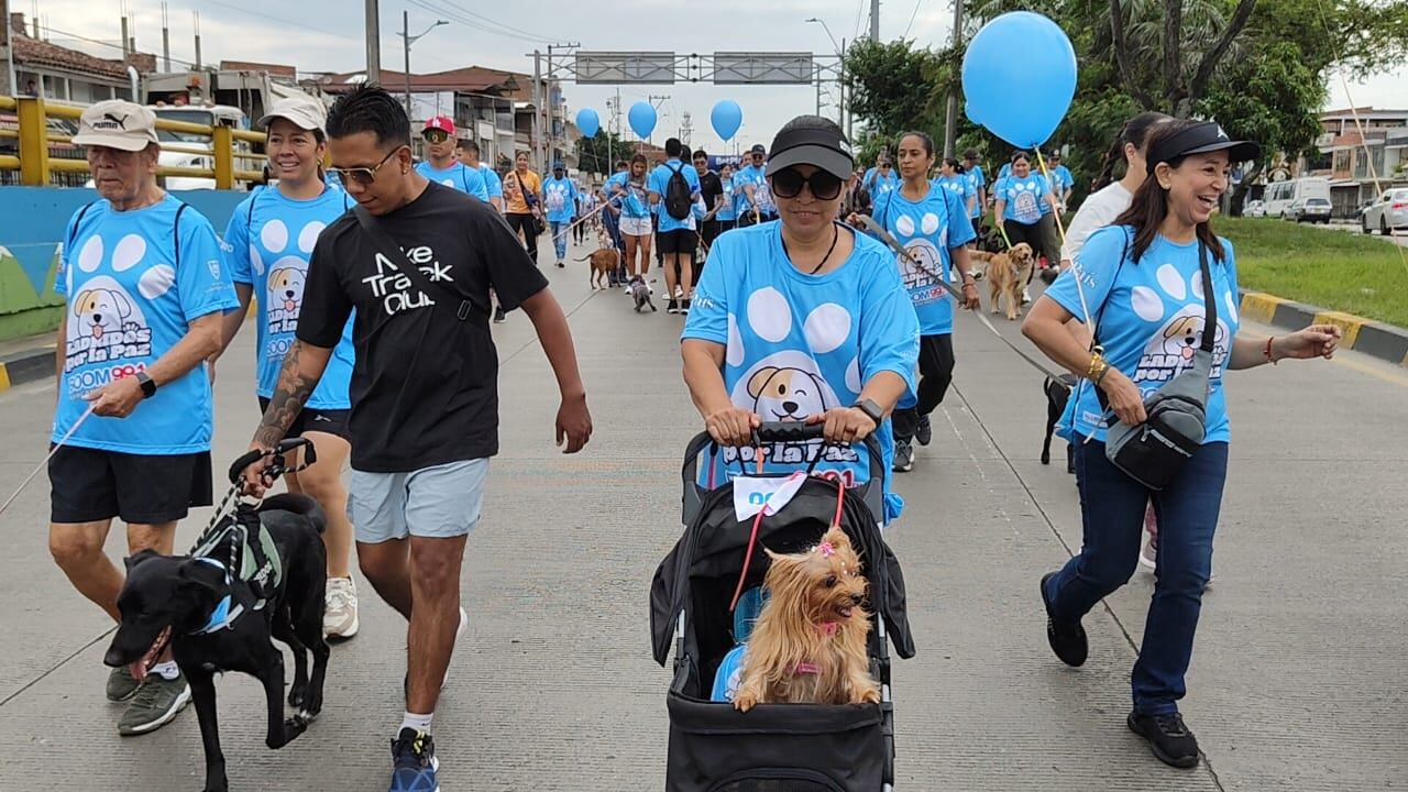 Ladridos por la Paz en Cali deja un mensaje claro: adoptar es un acto de amor.