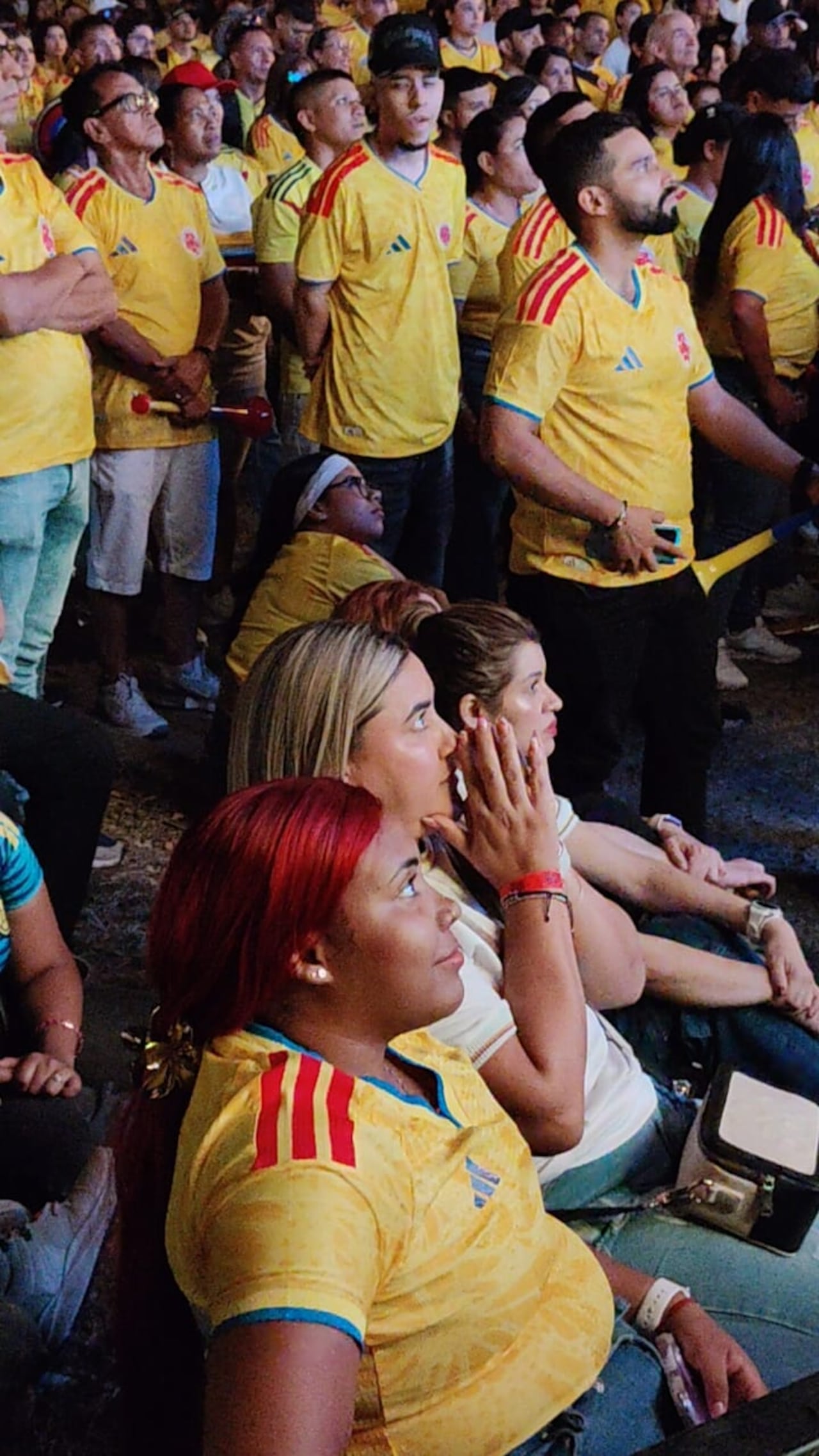 Caleños viendo el partido de la Selección Colombia.