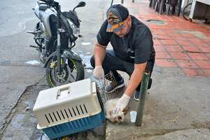Aproximadamente la población de animales abandonados en Cali es de unos 60 mil. El Centro de Bienes Animal, CBA, tiene la tarea de ayudar y rescatar muchos de estos animalitos