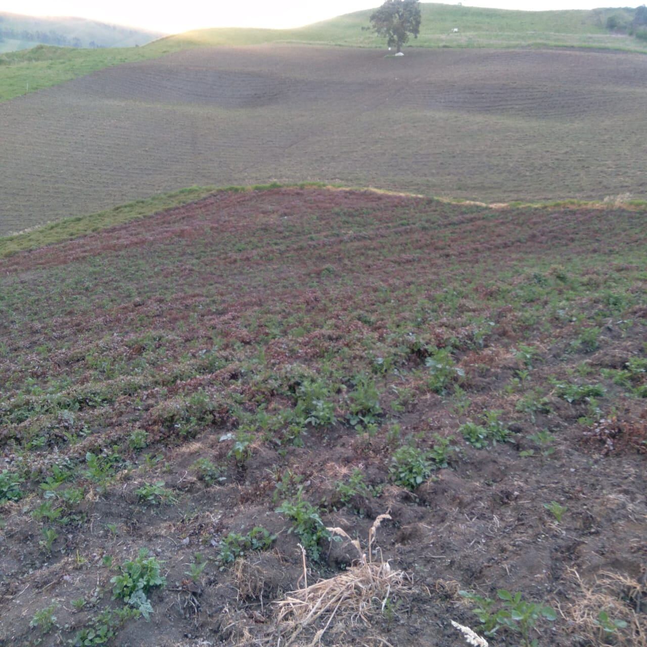 Desde el primer día de registrada la emergencia, el Programa de Salud Regional y del Pueblo Kokonuko, en conjunto con la consejería de la Zona Centro, se llevaron a las comunidades de los Resguardos de Paletará y Kokonuko, todas las donaciones recibidas tras las afectaciones causadas por estos volcanes.