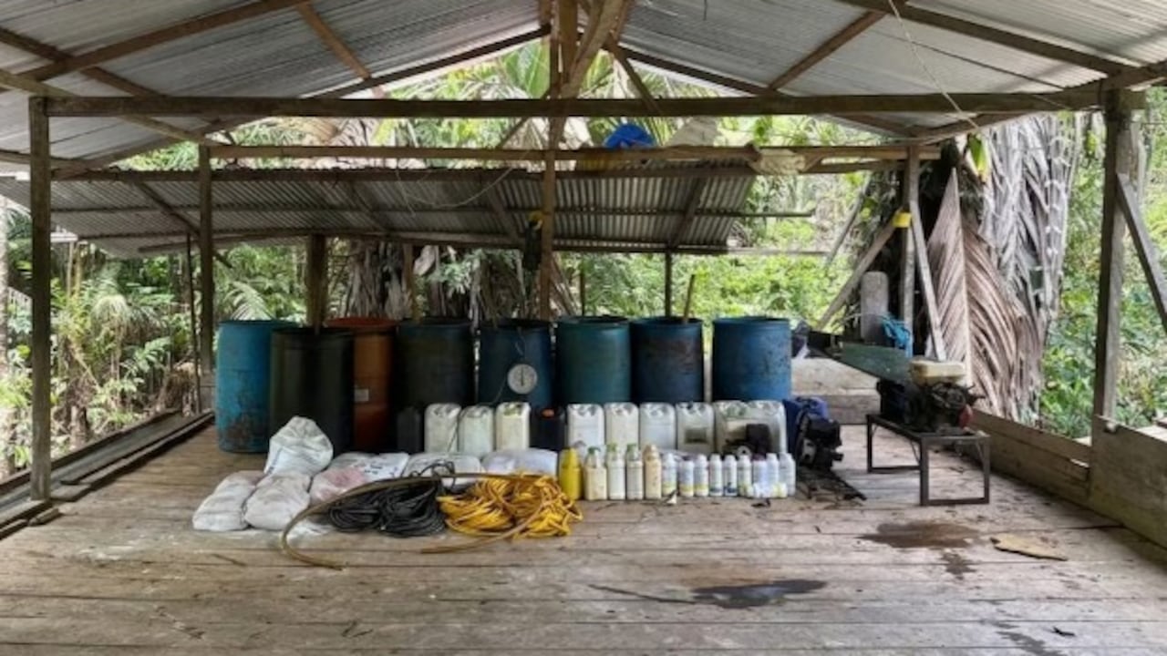 35 laboratorios de coca fueron desmantelados en Cauca y Nariño.