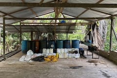 35 laboratorios de coca fueron desmantelados en Cauca y Nariño.