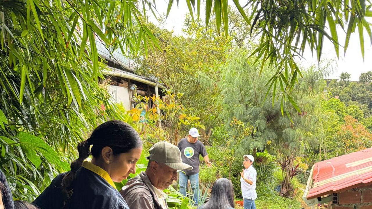 La entidad manifestó que identificó riesgos en el sector de El Saladito.