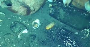 Más elementos encontrados en el Galeón San José