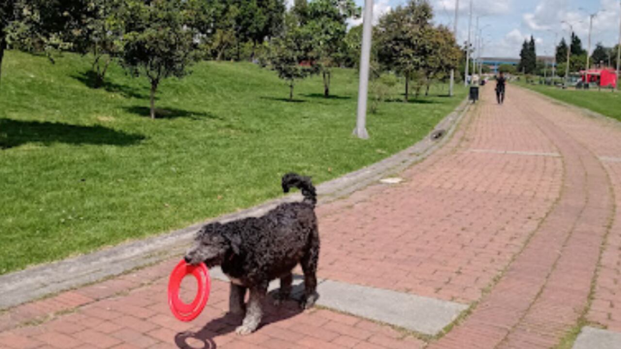 El Parque Tunal es uno de los lugares adaptados para que su mascota pueda disfrutar tranquilamente.