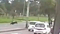 En el siniestro fallecieron dos personas.