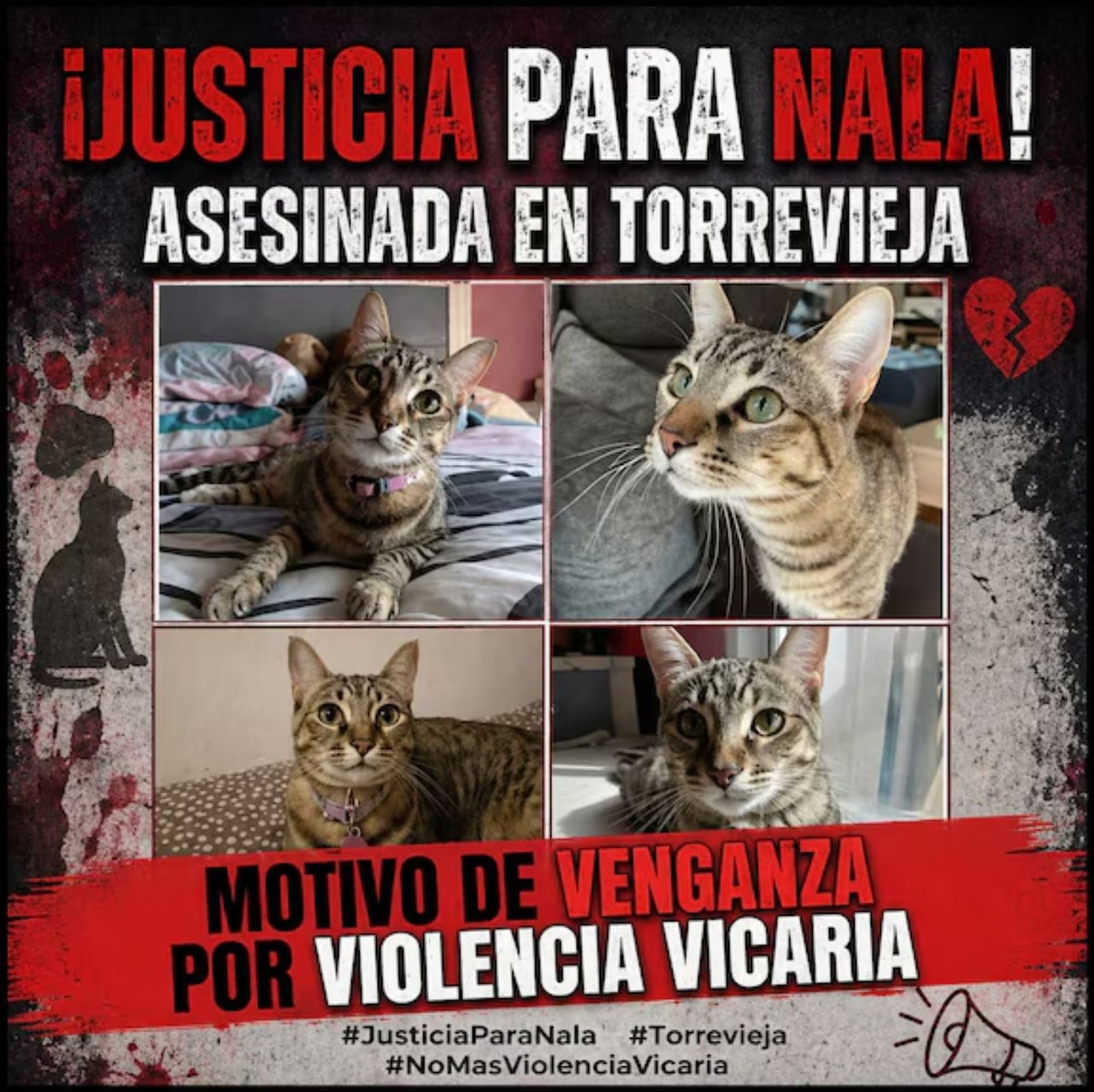 Asesinato de Nala