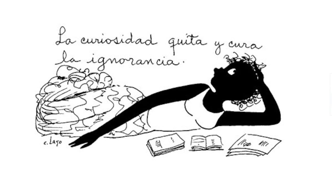 Nieves, 16 de noviembre de 2025.