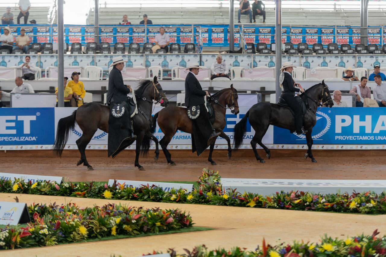 Colombia da inicio al XVII Mundial de Caballos de Paso: más de 2.000 ejemplares y 123 empresas reunidas en el Valle del Cauca, del 27 de octubre al 2 de noviembre de 2025