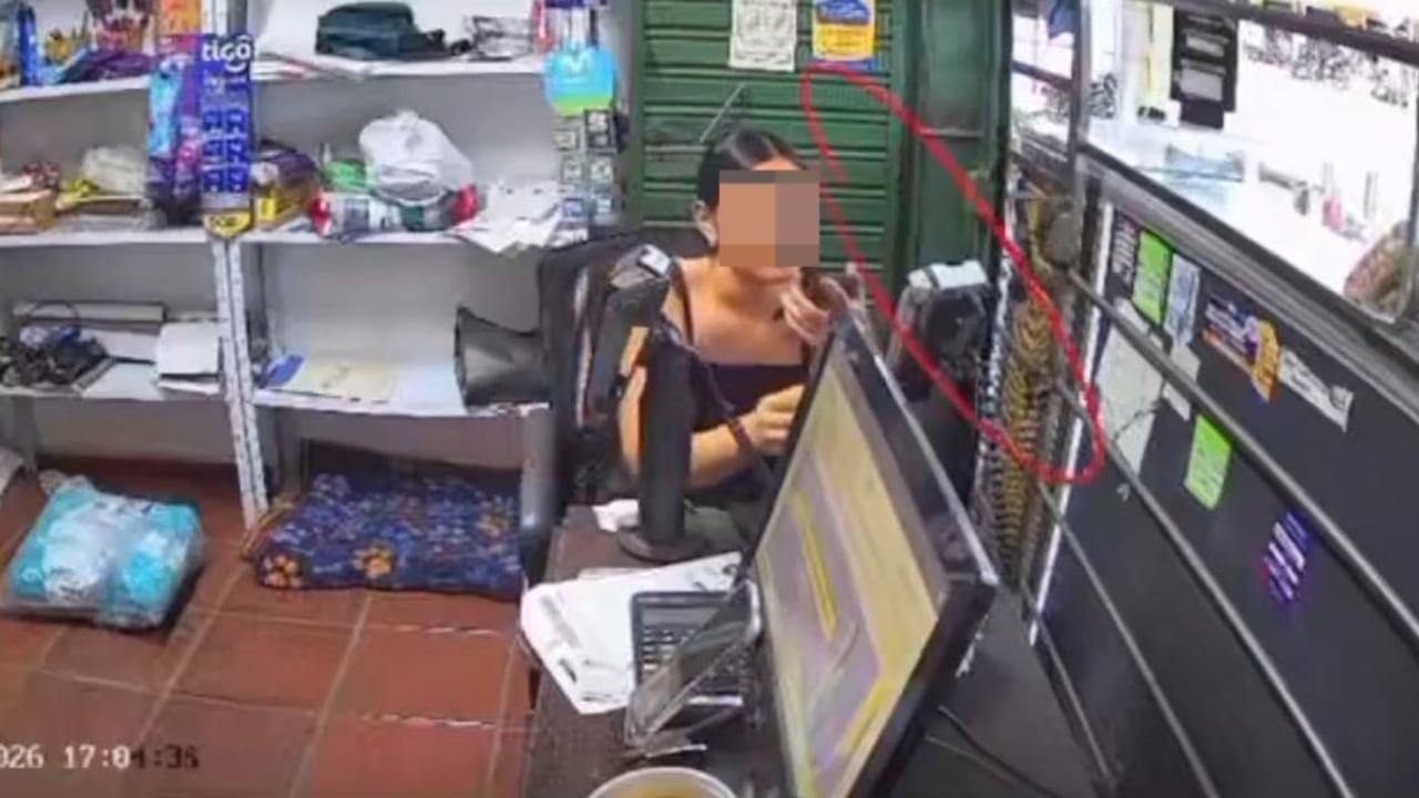 La joven habría robado mientras recibía un proceso de inducción para quedarse con un trabajo.