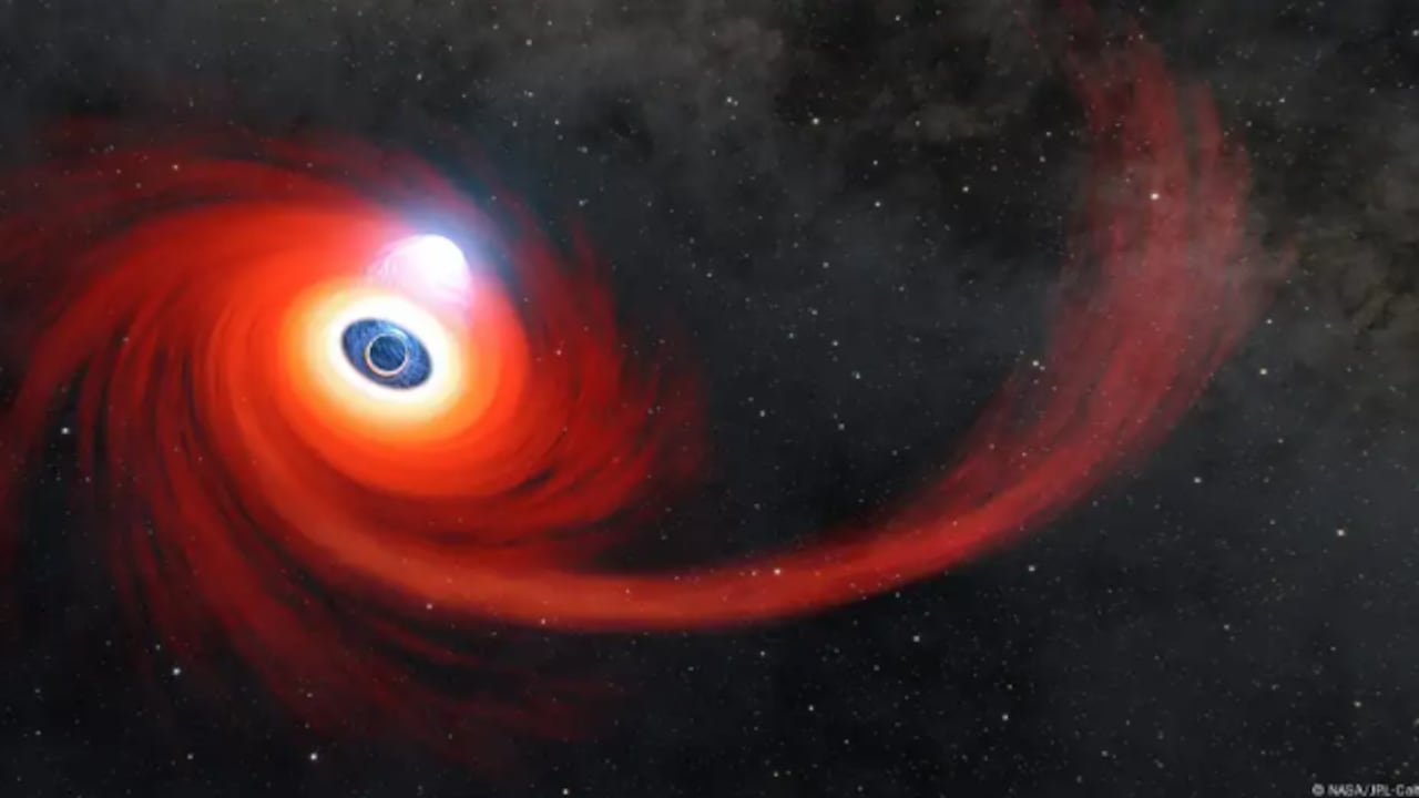 La destrucción de estrellas por agujeros negros dejó una “huella luminosa” que guiará estudios futuros.