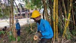 La idea de la intervención fue controlar los focos de criaderos del mosquito del dengue.