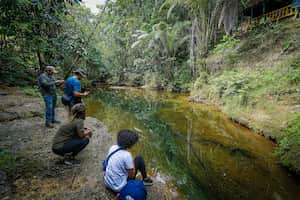 la comunidad de Venado Verde a 30 minutos antes del puerto de Buenaventura, trabaja en el turismo ecológico y de conservación, su riqueza natural, riachuelos, cascadas y gran diversidad de fauna, hacen de este lugar un nuevo espacio para los amantes del turismo de aventura.