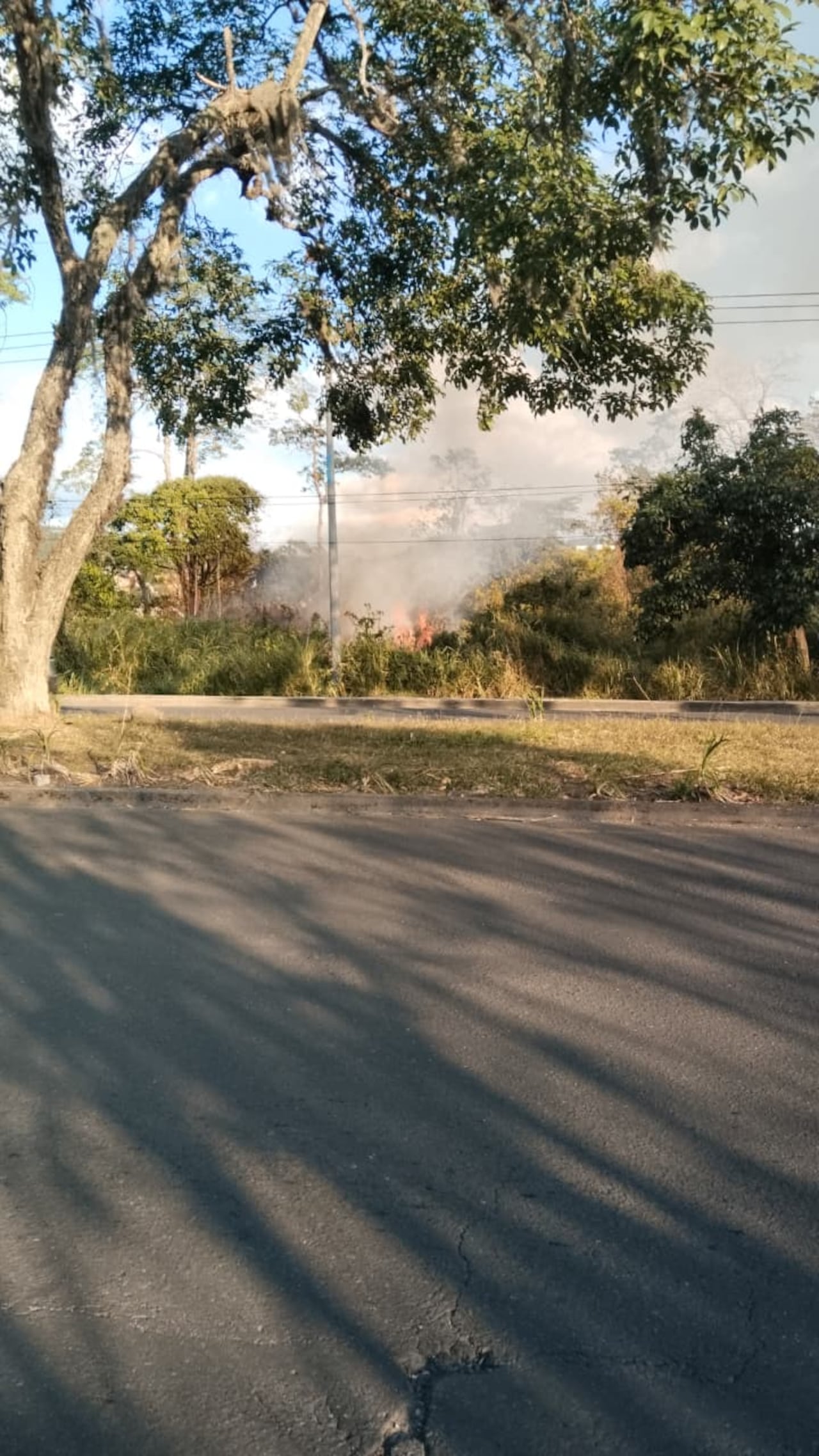 En la capital caucana, sectores como La Rejoya, El Ortigal y Julumito han sido de los más afectados por la ola de incendios forestales durante las últimas 48 horas. La imagen muestra la magnitud de las llamas que han amenazado zonas residenciales y rurales, requiriendo la intervención total del Cuerpo de Bomberos Voluntarios de Popayán.