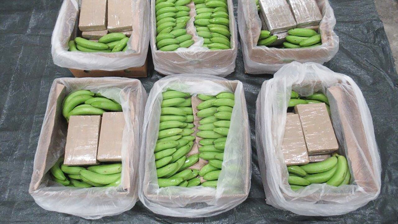 El 8 de febrero de 2024, la policía británica realizó una incautación récord de 5,7 toneladas de cocaína en un contenedor en el puerto de Southampton. La cocaína, con un valor en la calle de más de 450 millones de libras esterlinas (525 millones de libras esterlinas) según los precios del mercado del Reino Unido, estaba oculta en un cargamento de plátanos procedentes de América del Sur. Los investigadores de la NCA creen que el destino final de la mercancía era el puerto alemán de Hamburgo. (Photo by Handout / NATIONAL CRIME AGENCY / AFP) / RESTRICTED TO EDITORIAL USE - MANDATORY CREDIT "AFP PHOTO / NATIONAL CRIME AGENCY " - NO MARKETING NO ADVERTISING CAMPAIGNS - DISTRIBUTED AS A SERVICE TO CLIENTS