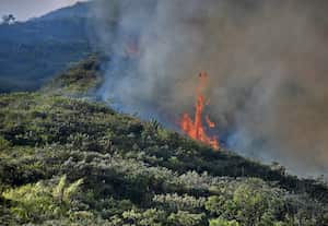 incendio forestal amenaza al jardín Botánico de Cali